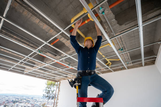 Best Sprinkler Systems  in Ellicott City, MD